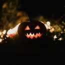 고려 법률 행정사 이미지