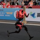 주파랑