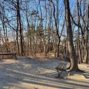 경북대로(송하동) 이미지