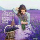 김영진: 28. 야고보 - 우레처럼 급한 혈기 가졌지만 이미지