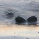 환타지아 이미지