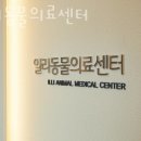 하동동물병원 이미지