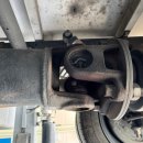 영 모터스 이미지