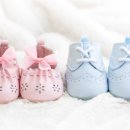 체크포인트 이미지