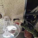 금성한의원 이미지