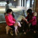 덕소 승마클럽 이미지