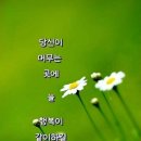 건강의향기