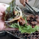 동가마골 | 노은동 맛집 유성구 노은동 동가마골 숯불갈비 갔다왔어요.