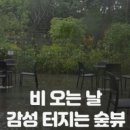 양천 신정 주차 편한 대형카페 숲뷰 힐링카페 홀리빈카페 후기 및 인스탁스 미니41 사용 후기