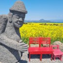 하도리 님과 함께 이미지