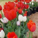 송산한정식 이미지