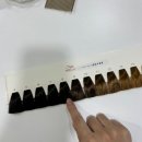 브릴랑디자인 | 대구 퍼스널컬러 진단 쁘띠브릴랑 재방문 후기