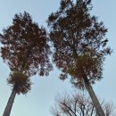 진주 응석사 대웅전 이미지