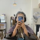 몽실 | 단발히피펌에서 똑단발 도전기ㅣ주인장 325ㅣ호암동에서 칠금동으로 이전💈