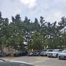 태안 천리포수목원 정보 및 후기