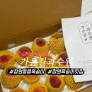 동읍101 | 창원 동읍 복숭아 맛집 가온길과수원 내돈내산후기