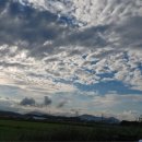 자작도사철민박 이미지