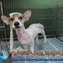 금신로 이미지