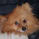 동산주공아파트 이미지