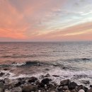 구항농업협동조합 | 울릉도 여행 01 :: 서울 집에서 울릉도에 도착하기까지