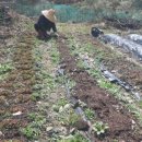 효림농장 이미지