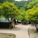 소백산 남천야영장1 이미지