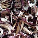 신두리농장 이미지