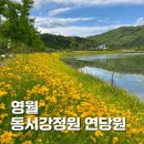 연당로 | 영월 가볼만한곳 동서강 정원 연당원 카페 영월꽃구경