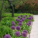 경상남도 수목원 이미지