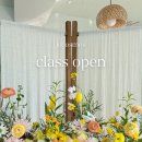 르코스모스 이미지