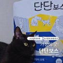 건강을 생각한 야옹섬 고양이모래 단단보스 벤토나이트