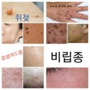 윤토탈뷰티 네이버블로그