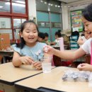 초월초등학교 이미지