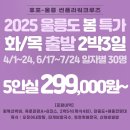 썬플라워3