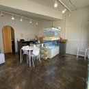 펫퍼스트24시 서울송파점 강아지고양이분양말티푸말티즈푸들 이미지