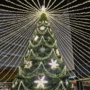 야쭈야쭈매콤쭈꾸미본점 이미지