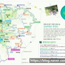 금곡삼거리식당 이미지