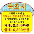 동해설악공인중개사사무소 | [속초 토지 매매] 동서고속철도 동해북부선 수혜지! 도문동 설악산 가는 길 소액 투자용 농지 속초...