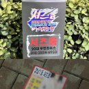 텐프로룸 이미지
