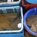 고흥녹동회타운 이미지