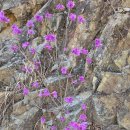 청마기념관 이미지