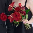 2219 | (W7) 스튜디오 촬영 준비하기(플로뉴, 드래곤블루스, 마놀로블라닉 등)