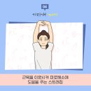 필라테스하다 - 강남구 학동로 165 | 필라테스하다