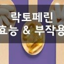 락토페린의 효능 및 안좋은점 잘 고르는 방법 이미지