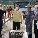 강진9호 이미지