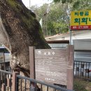 김구선생암각문 이미지