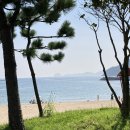 림바발리스 | 거제 1박2일 여행 코스 데이트 / 내돈내산 림바발리스 펜션 후기