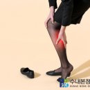 백현교 이미지