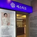 세스티끄 - 강남구 학동로 209 | 세스티끄