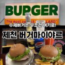 마이야르 | 제천 시외고속버스터미널 수제버거맛집 잠봉버거 과카몰리명란버거 , 버거 마이야르 솔직후기